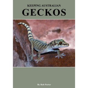 Keeping Australian Geckos